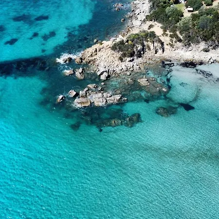 Sa Babaiola Simius